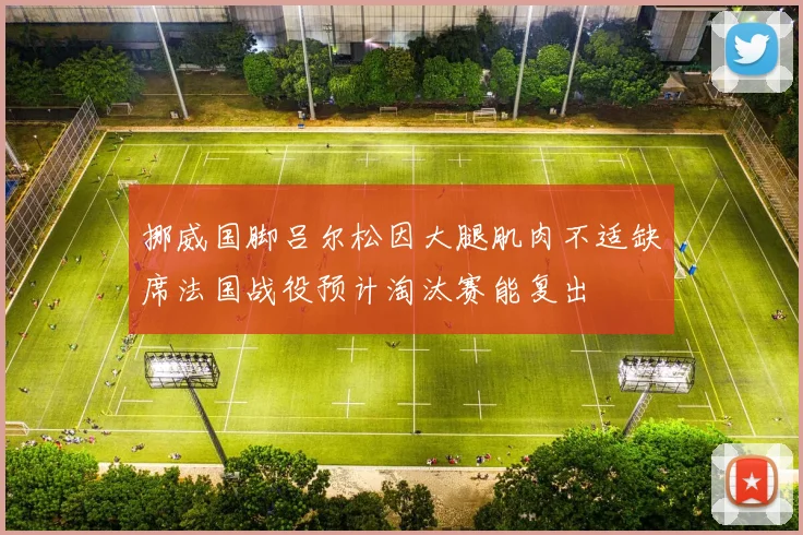 挪威国脚吕尔松因大腿肌肉不适缺席法国战役预计淘汰赛能复出